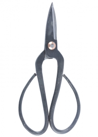 Ножницы для бонсай GT55 Esschert Design фото