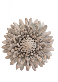 Декор интерьерный терракотовый Хризантема Serafina Flower Lene Bjerre фото