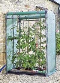 Складная мобильная теплица для выращивания томатов GroZone Max Smart Garden фото