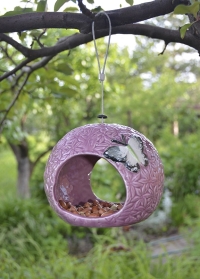 Декоративная кормушка для птиц Соцветие лука by ChapelWood от Smart Garden (Великобритания) фото