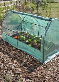 Парник на грядку с откидным верхом GroCloche Max от Smart Garden (Великобритания) фото