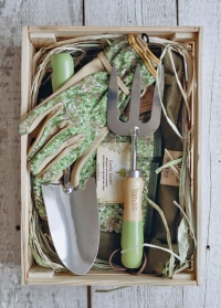 Подарок для садовода Honeysuckle by William Morris Briers