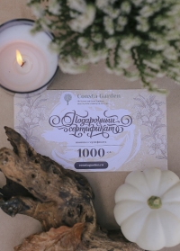 Подарочный сертификат 1000 руб Consta Garden фото