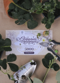 Подарочный сертификат 5000 руб Consta Garden фото 