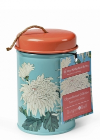 Шпагат джутовый для букетов в декоративном контйнере Chrysanthemum Burgon & Ball фото.jpg