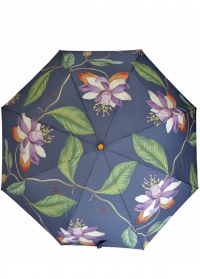 Зонт складной английский Passiflora Burgon & Ball фото 1.jpg