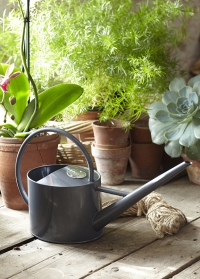 Лейка для полива комнатных растений 1.7 литра Sophie Conran от Burgon & Ball фото 
