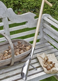 Инструмент для посадки луковичных с длинной ручкой Burgon & Ball (Великобритания) фото