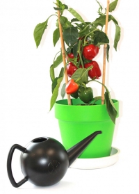 стильная дизайнерская лейка для комнатных растений Bowli Xala фото.jpg
