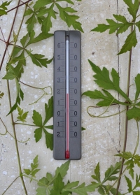Термометр деревянный для дома и улицы Grey AJS Blackfox фото.jpg
