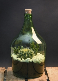 Стеклянный флорариум для цветов бутылка 5 литров AGG65 Esschert Design фото