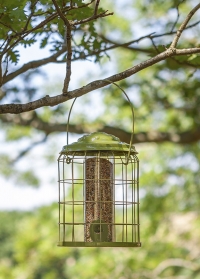 Кормушка для птиц для семечек с защитой от белок Premier Seed by ChapelWood фото