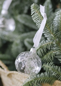 Елочный шар прозрачный 6 см. Cadelia Clear Silver Lene Bjerre фото
