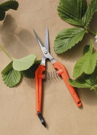 Ножницы садовые для цветов ультралегкие TP-530S Chikamasa фото