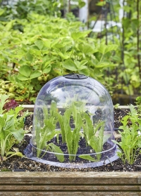 Садовый пластиковый колпак для укрытия рассадыBell Smart Garden фото