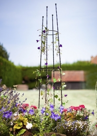 Опора для вьющихся растений металлическая Regency Obelisk Smart Garden фото