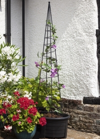 Опора-обелиск для вьющихся растений Spiral Obelisk Smart Garden фото