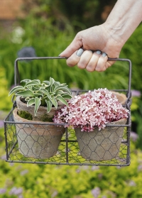 Набор цветочных горшков из состаренной терракоты в металлической корзинке AT12 Esschert Design фото