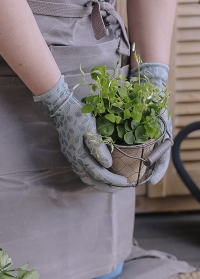 Перчатки садовые с покрытием из латекса Eglantine Grey AJS-Blackfox фото