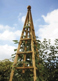 Деревянный обелиск для вьющихся растений британского бренда Smart Garden фото