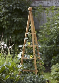 Деревянный обелиск для вьющихся растений для сада и дачи британского бренда Smart Garden фото