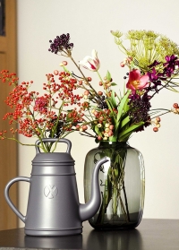 Голландская дизайнерская садовая лейка-кофейник 8 л. XALA Lungo Slate Grey фото