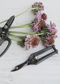 Кусачки-ножницы для флористов и декораторов TP-600BK Chikamasa фото