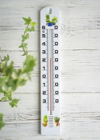 Термометр настенный большой для дома и улицы Herbs AJS-Blackfox фото на сайте Consta Garden