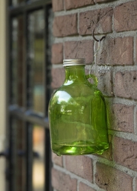 Настенная ловушка для ос стеклянная бутылка EG25 Esschert Design фото