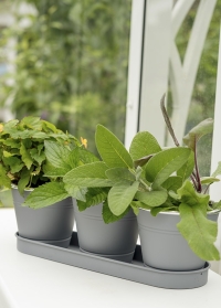 Набор из 3-х металлических кашпо для выращивания трав и цветов на поддоне Slate от Smart Garden фото
