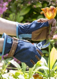 Перчатки садовые из замши Love the Glove Denim Burgon & Ball фото