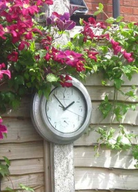 Уличные садовые часы Galvanized Effect Briers