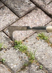 Инструмент для очистки камня и плитки от сорняков Burgon & Ball (Великобритания) фото