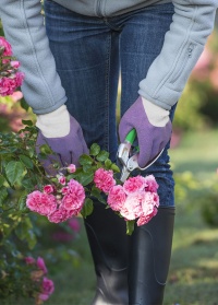 Перчатки садовые с нитрилом Plantation Violet AJS-Blackfox