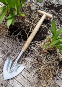 Лопатка садовая остроконечная для деления корней Burgon and Ball фото