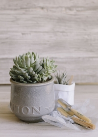 Керамическое кашпо в скандинавском стиле для комнатных растений Belinda Lene Bjerre фото