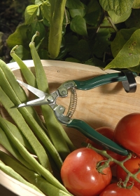 Ножницы для фруктов и овощей британского бренда Burgon & Ball заказать на сайте интернет-магазина Consta Garden