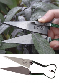 ножницы миниатюрные для срезки трав фото.jpg