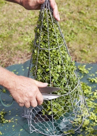 Английские садовые ножницы для топиариев - стрижки растений Burgon & Ball фото.jpg