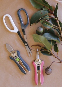 Инструменты для орхидей и комнатных растений Burgon & Ball фото