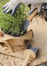 Нож садовый для прополки, посадки и ухода за горшечными растениями от Burgon & Ball (Великобритания) фото
