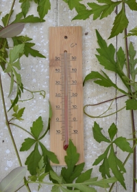 Термометр из бамбука для помещения AJS-Blackfox оформить заказ на сайте Consta Garden 
