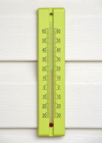 Термометр деревянный для дома и улицы Anis 40008 французского бренда AJS-Blackfox фото