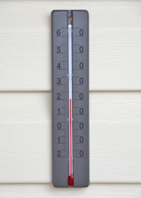 Термометр из дерева настенный Grey AJS Blackfox фото.jpg