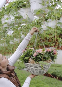 Подвесное цветочное кашпо из искусственного ротанга 7 литров Seashell Smart Garden фото