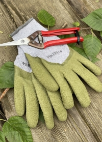 Садовые перчатки всесезонные для работы в саду и огороде Cosy Sage Briers фото