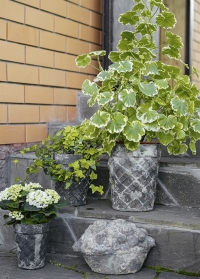 Коллекция винтажных садовых декоров из состаренной керамики Aged Ceramic AC147 от Esschert Design фото