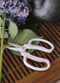 Японские флористические ножницы Chikamasa в подарок флористу Consta Garden картинка