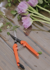 Ножницы флористические для цветов ультралегкие TP-530 Chikamasa фото