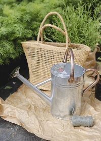 Оцинкованная садовая лейка для цветов 4.5 л. Galvanised Steel Smart Garden фото